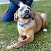 Thumbnail photo of Compass #2