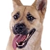 Thumbnail photo of Kiah #4