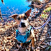 Thumbnail photo of Rori #1