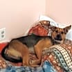 Thumbnail photo of Rori #2