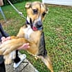 Thumbnail photo of Rori #3