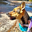 Thumbnail photo of Rori #4