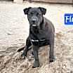 Thumbnail photo of Floppy #2