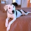 Thumbnail photo of Spot #1