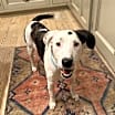 Thumbnail photo of Spot #2