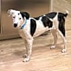 Thumbnail photo of Spot #3