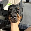 Thumbnail photo of Jack #1