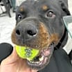 Thumbnail photo of Jack #3