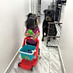 Thumbnail photo of Jack #4