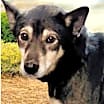 Thumbnail photo of Cassidy #1
