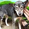 Thumbnail photo of Cassidy #2