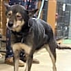 Thumbnail photo of Cassidy #3