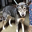 Thumbnail photo of Cassidy #4