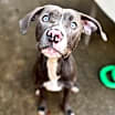 Thumbnail photo of Jingle #1