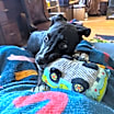 Thumbnail photo of Birdie #3