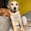 Thumbnail photo of Edith #1