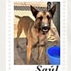 Thumbnail photo of Saul #3