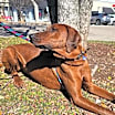 Thumbnail photo of Dan #4