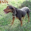 Thumbnail photo of RUSTY #2
