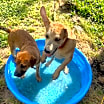 Thumbnail photo of Edith #4