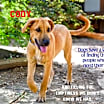 Thumbnail photo of Cody #1