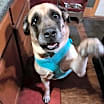 Thumbnail photo of Khloe #1