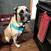 Thumbnail photo of Khloe #2