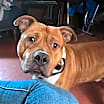 Thumbnail photo of Tank #3