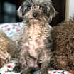 Thumbnail photo of Hudson #4
