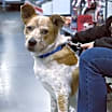 Thumbnail photo of Bingo #1