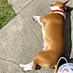 Thumbnail photo of Wrigley #3
