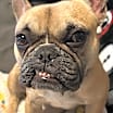 Thumbnail photo of Peaches #1
