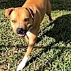 Thumbnail photo of Buzz #3
