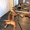 Thumbnail photo of Buzz #4