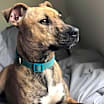 Thumbnail photo of Mya #1
