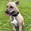 Thumbnail photo of Mya #2