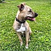 Thumbnail photo of Mya #3