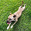 Thumbnail photo of Mya #4