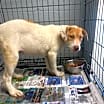 Thumbnail photo of Sheila #3