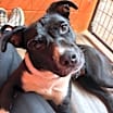 Thumbnail photo of Susie #3