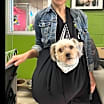 Thumbnail photo of Savannah #3