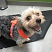Thumbnail photo of Savannah #4