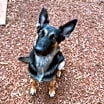 Thumbnail photo of Delta #1