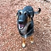 Thumbnail photo of Delta #2