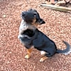 Thumbnail photo of Delta #3