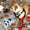 Thumbnail photo of Hutch Boy #3
