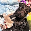 Thumbnail photo of Elliott #1