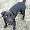 Thumbnail photo of Elliott #2