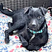 Thumbnail photo of Elliott #3