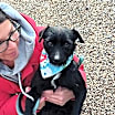 Thumbnail photo of Elliott #4